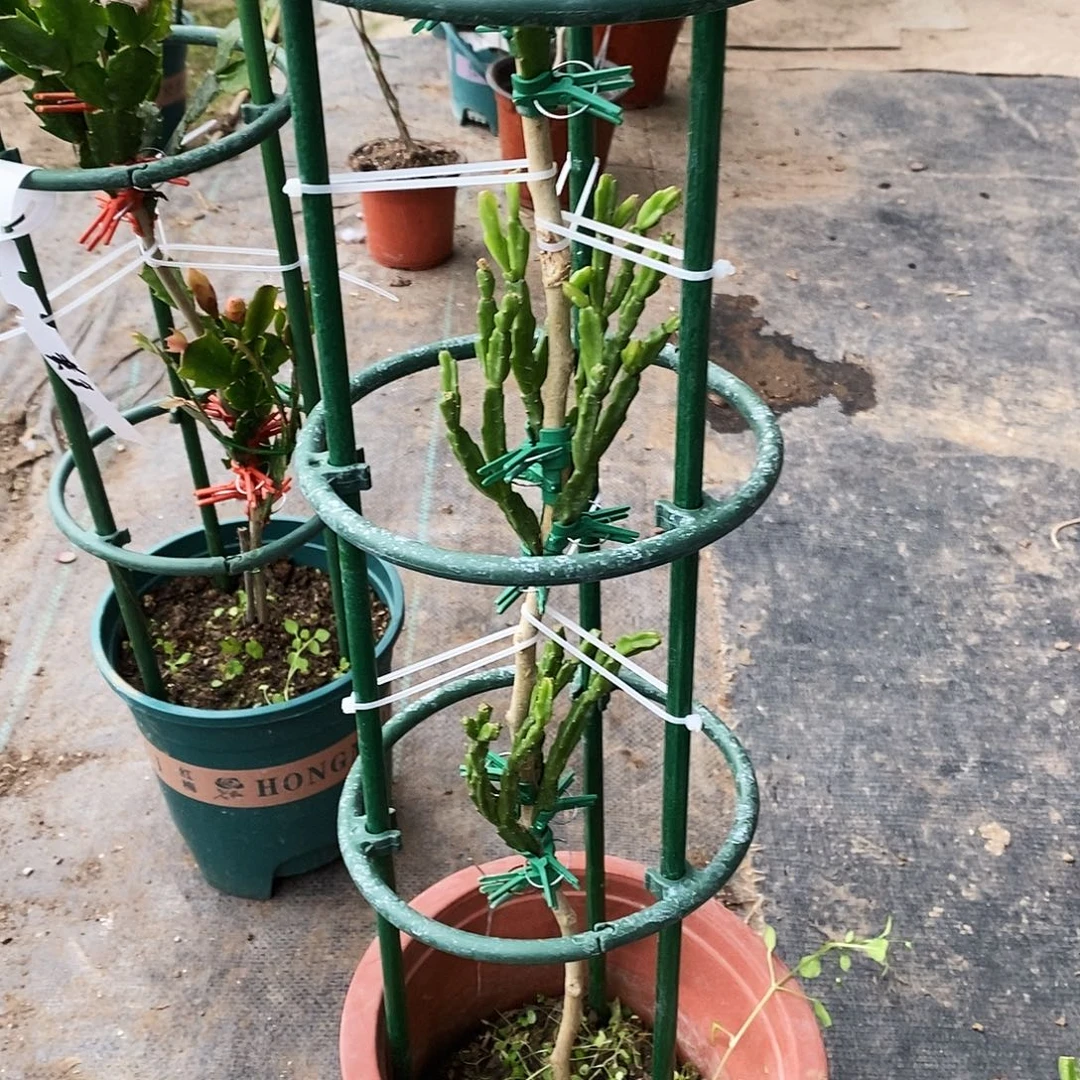 ƪ***7完全开放福利款三层