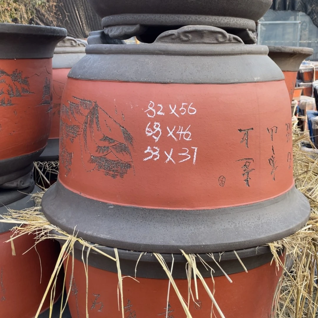 紫砂新 大金钟中号68-46 五支 送30cm盆