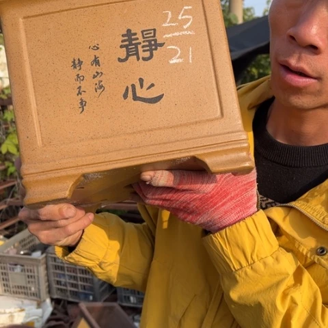 紫砂花盆特价特价包邮送