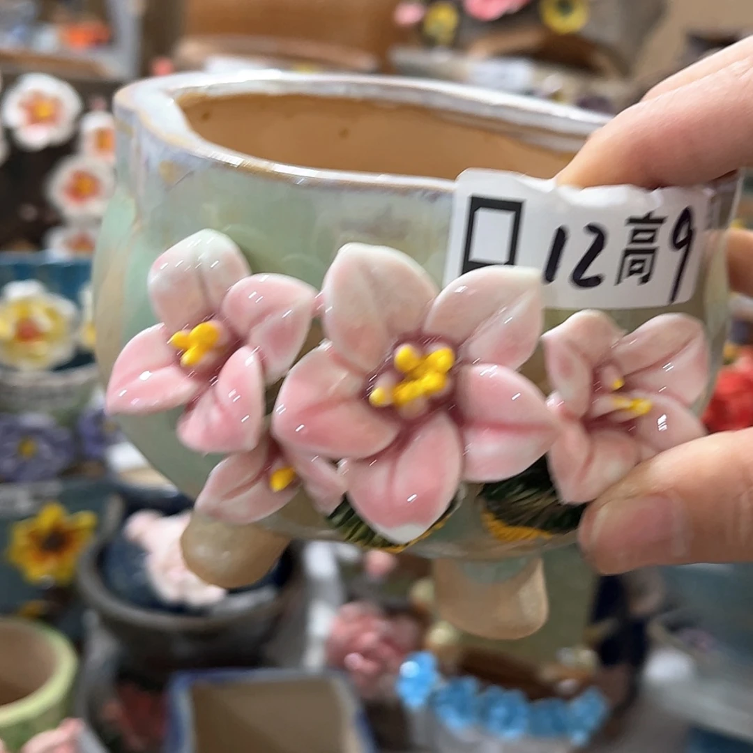 【闪购商品】红陶福利