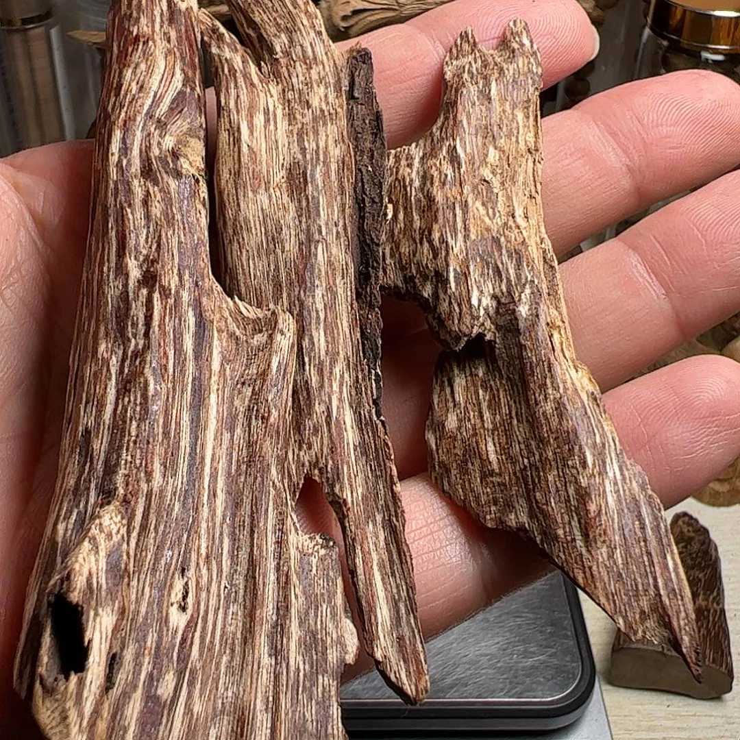 沉香沉香碎屑都蓬沉香虫漏19克