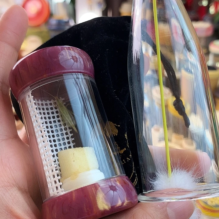 竹蛉套装啊啊啊啊啊啊啊