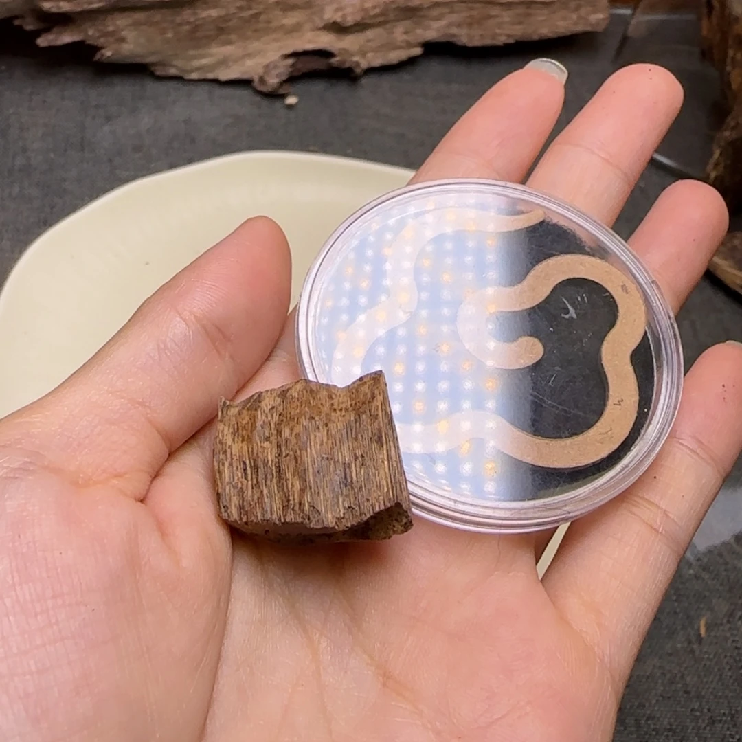 海南沉水鸡母虫漏料2.1克