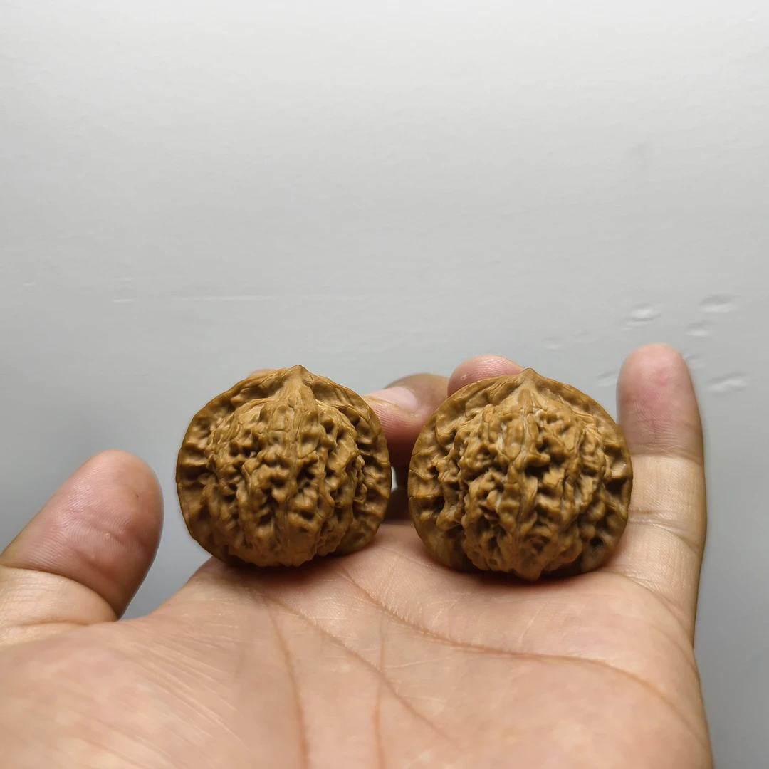 新人体验款，品种，尺寸随机发，有要求请备注下单