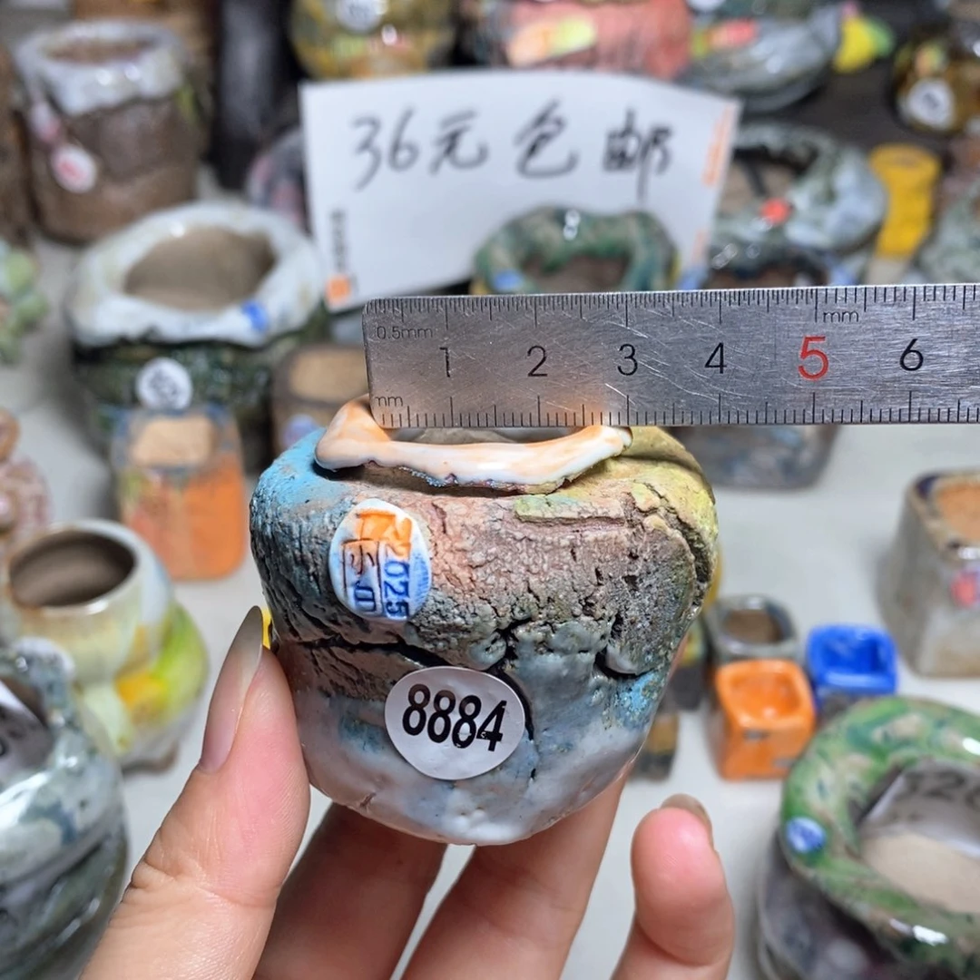 拍3送一个小礼物
