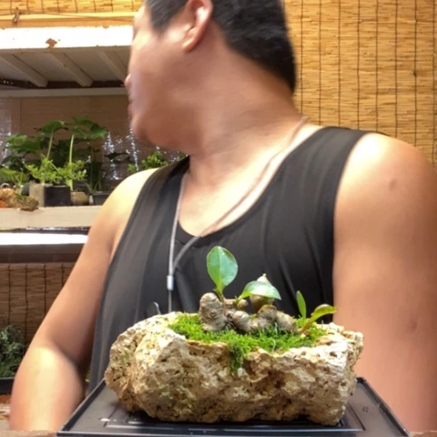 红陶一物一拍所见即所得72