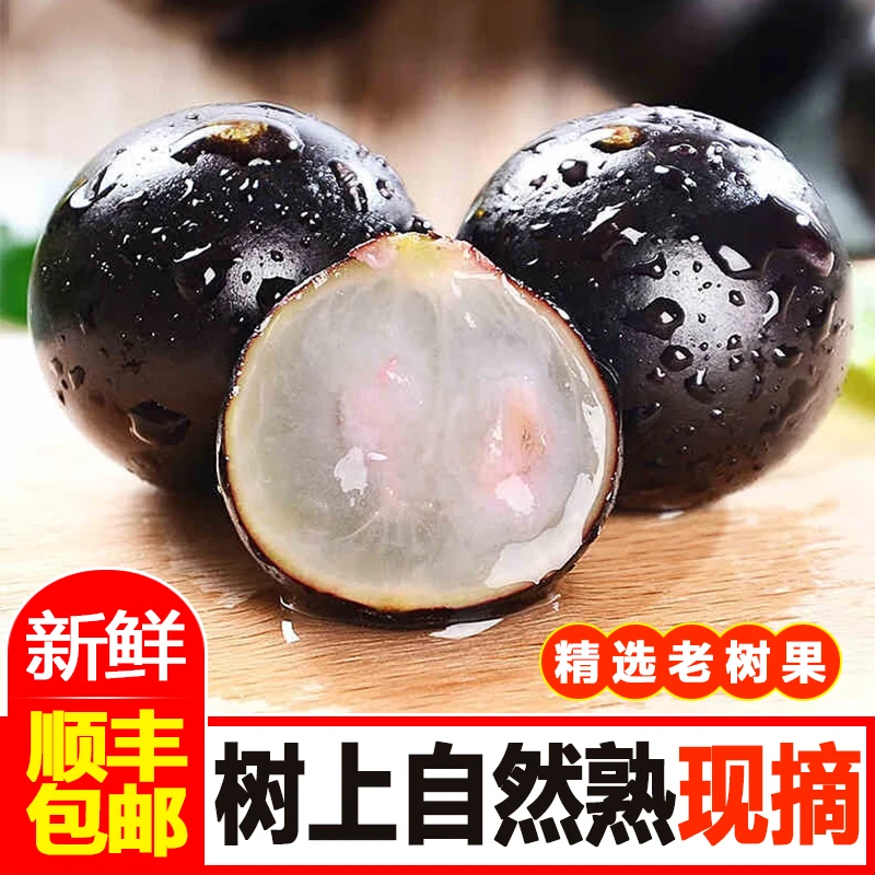 顺丰冷链精选沙巴嘉宝果树上自然熟送礼推荐新鲜现摘现发树葡萄清甜孕妇时令水果1斤5斤广东省