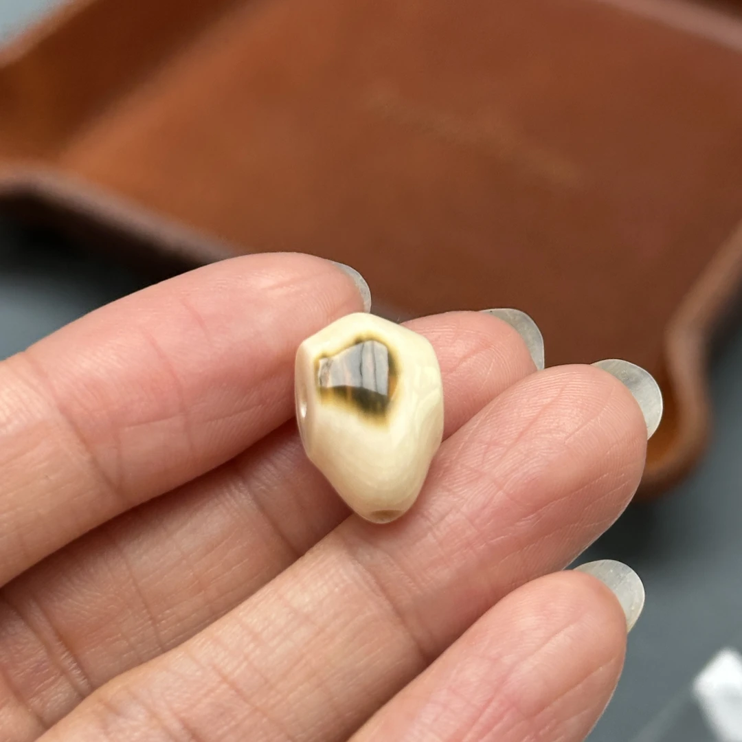 D3291天然猛犸牙 鲨鱼背三通9.7x15.8mm支持鉴定 假一罚四
