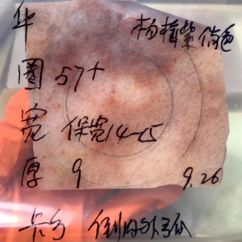 【闪购商品】未镶嵌手镯石英岩玉R****华杨梅紫翘色