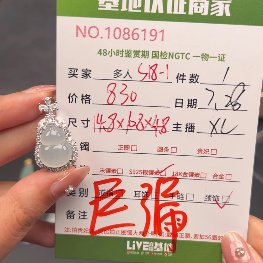 翡翠银S925镶嵌颈饰多人