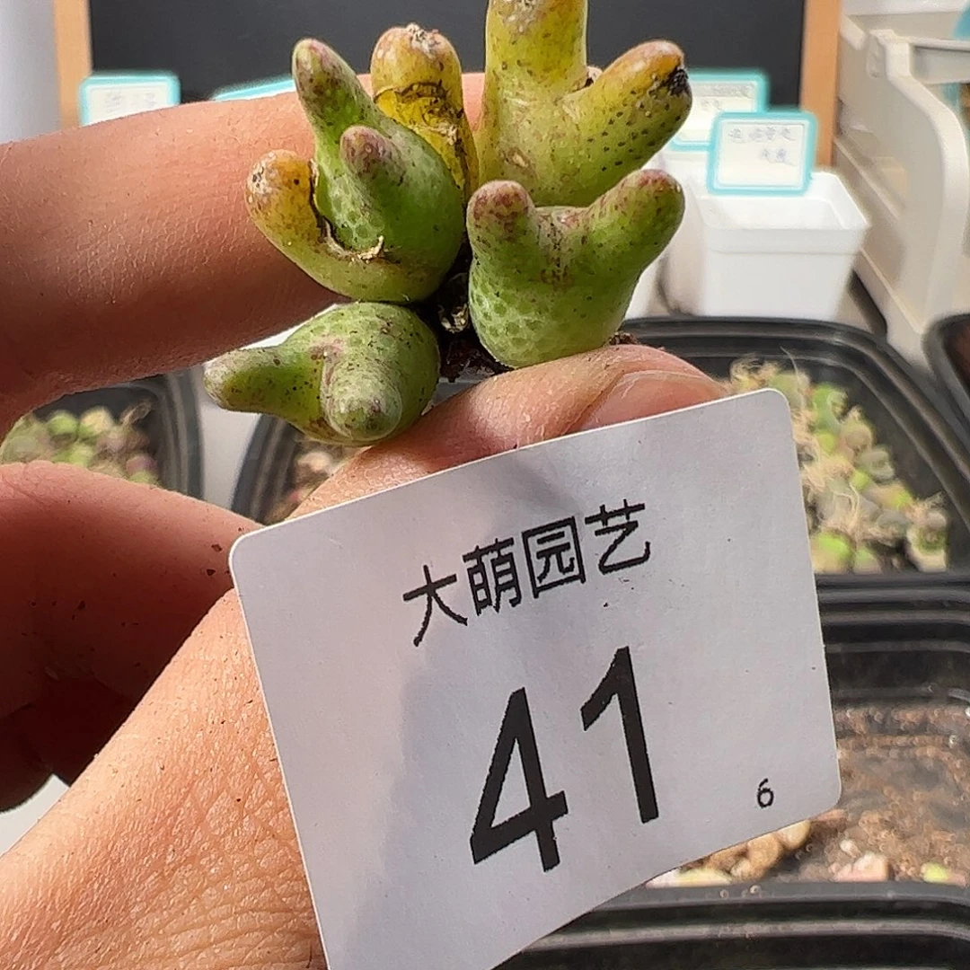 000041 一物一拍……