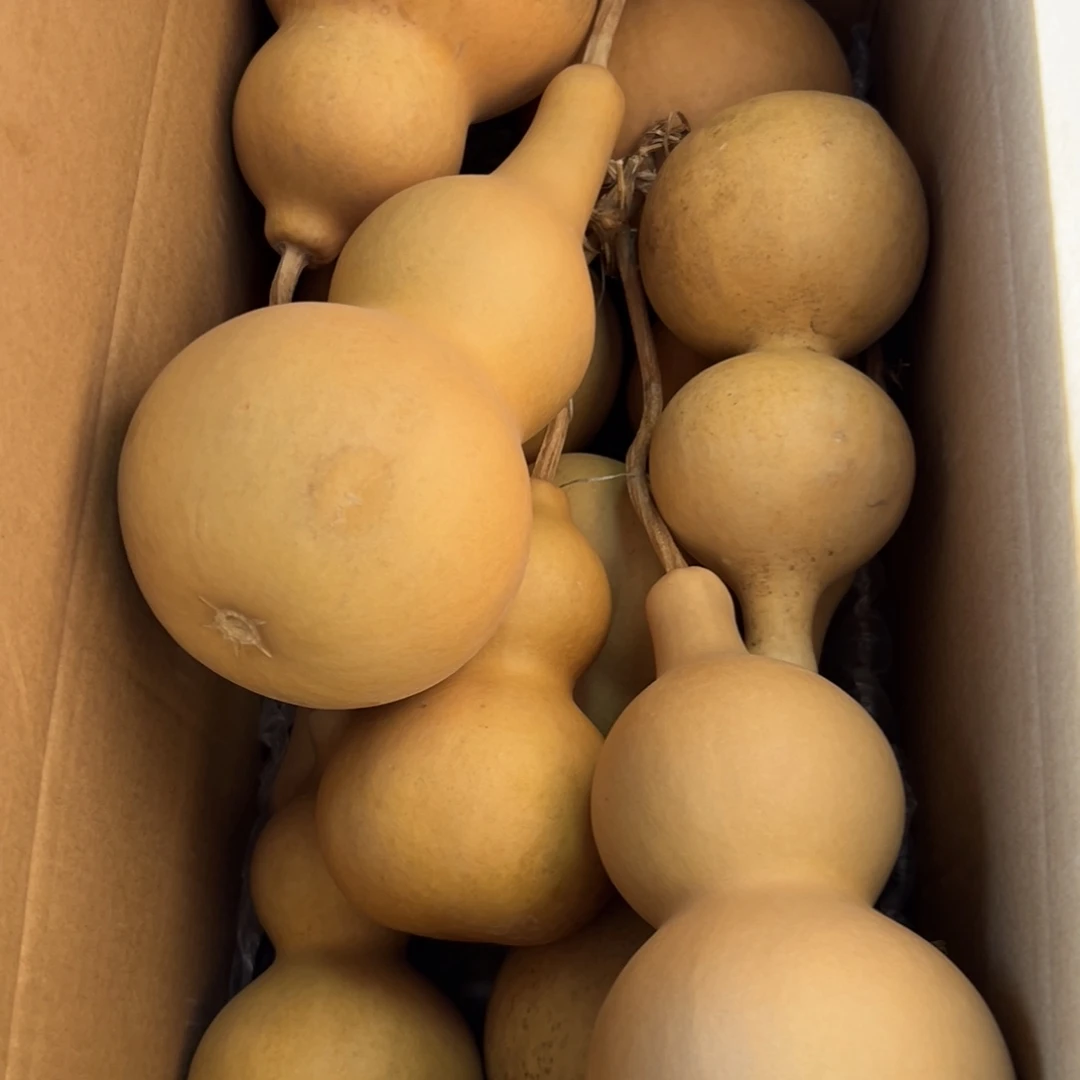 就***a有机玻璃葫芦葫芦