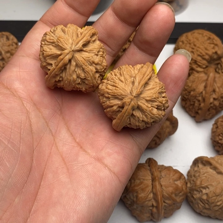 核桃手串/手链白狮子头37尺寸狮子头