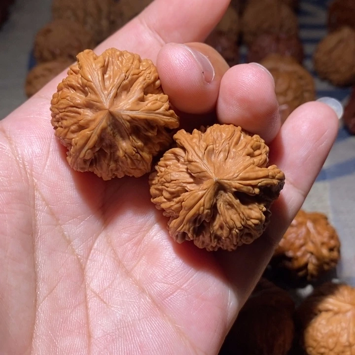 三***表文玩核桃把件核桃
