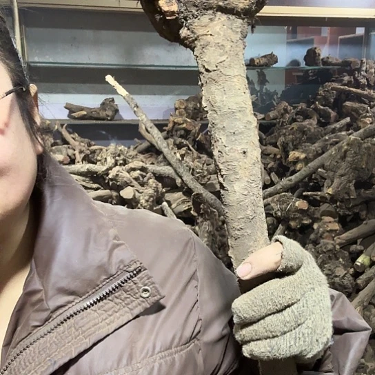 香榧木1****消火琉璃的故事毛料摆件