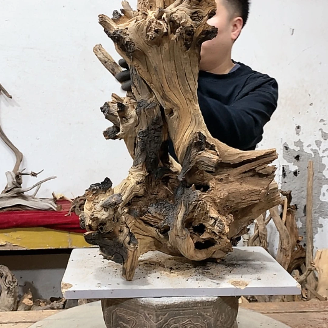 【闪购商品】柏木上****啦我们的目标是