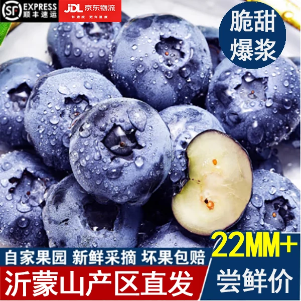 帝王蓝莓22mm-26mm爽口爆汁孕婴辅食100g/盒新鲜采摘当日采摘发货