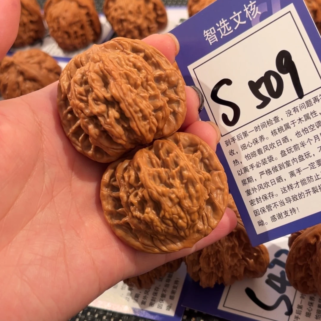 核桃S509号虎头45尺