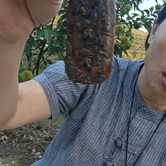 泗水砭石文化馆女娲石龙牌