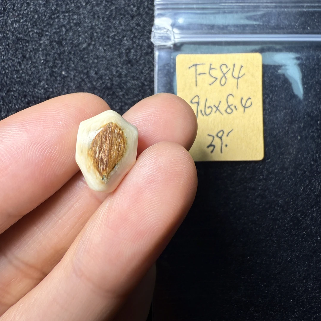 F584猛犸象牙鲨鱼背三通尺寸9.6*8.4mm果冻料
