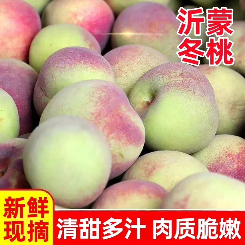 沂蒙山小冬桃沂蒙蜜桃新下树产地直发脆甜可口新鲜应季水果