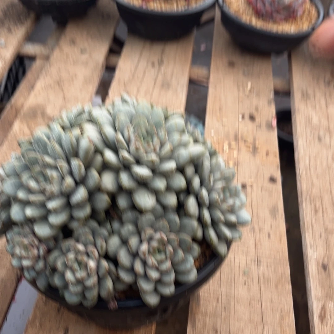 发物流的