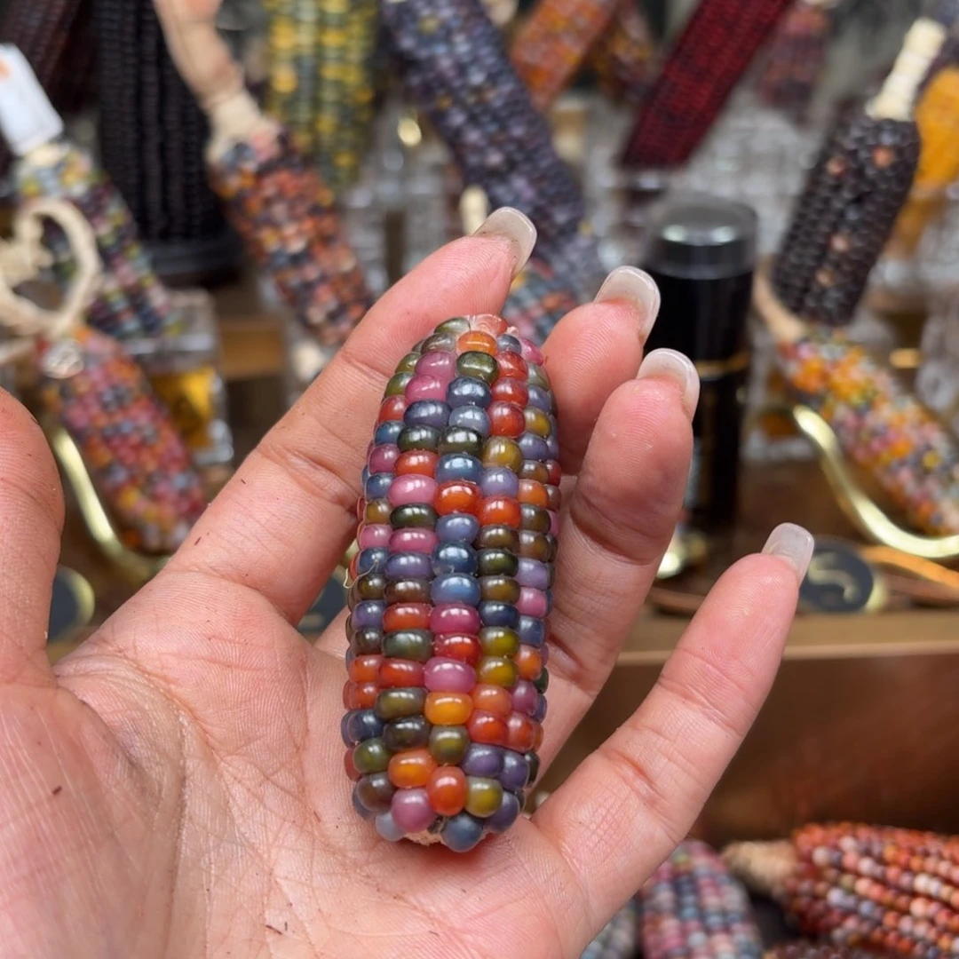 柏香籽/百香籽吊坠王**?