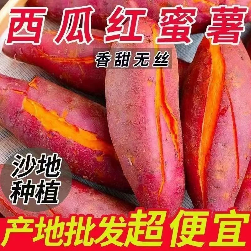 沙地新鲜现挖红薯番薯软糯香甜农家自种粗粮红心蜜薯G