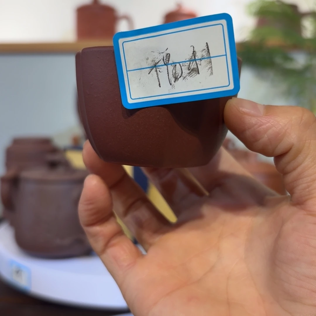 主人杯主人杯主人杯主人杯