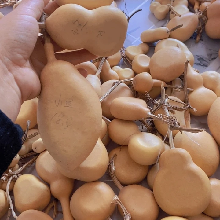 ****小鱼小鱼恭喜发财