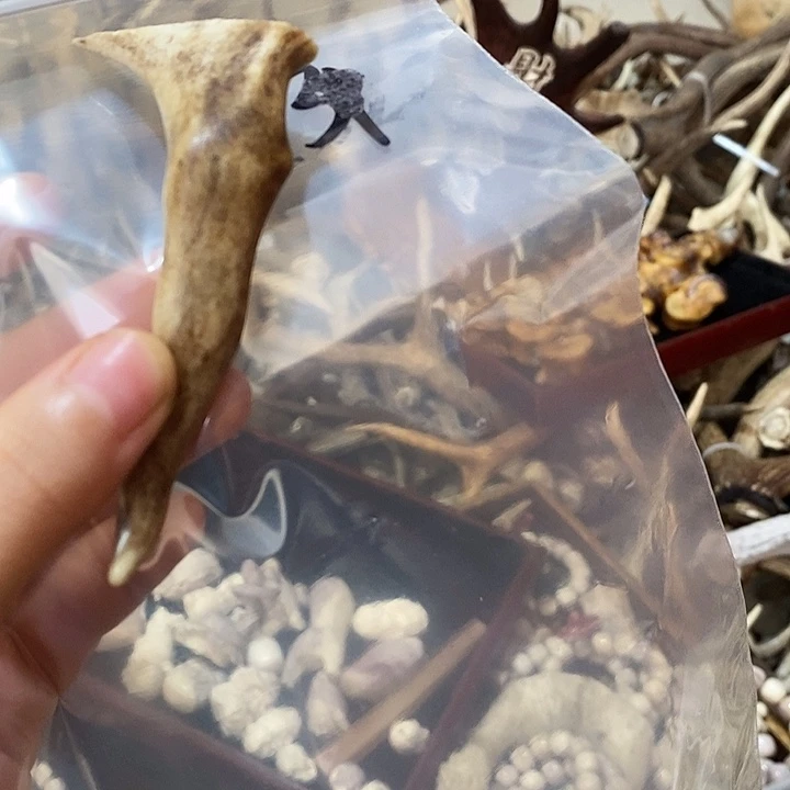 乐***）无非金属鹿角鹿角