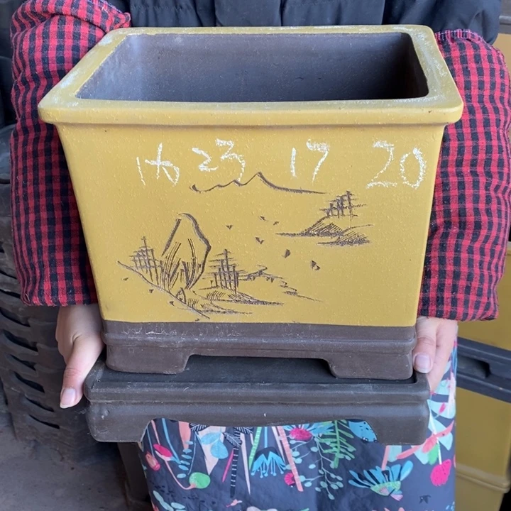 花盆紫砂只顾看剧啊