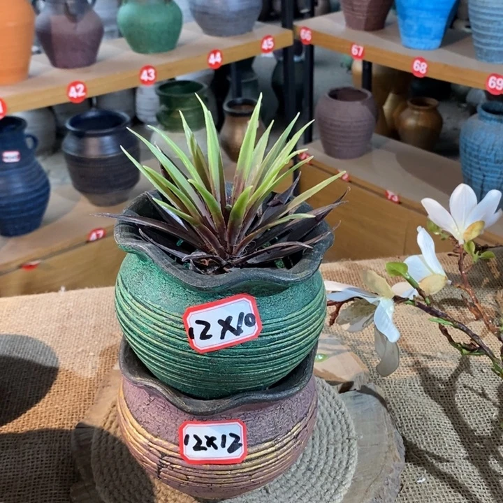 【闪购商品】正品现货