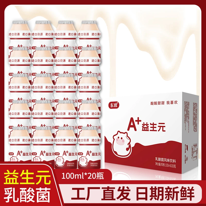 东致乳酸菌风味饮品饮料100ml*20瓶一箱整箱早餐Z