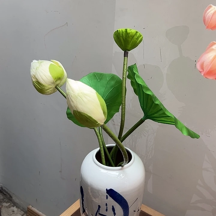 一口价 五个一套样品