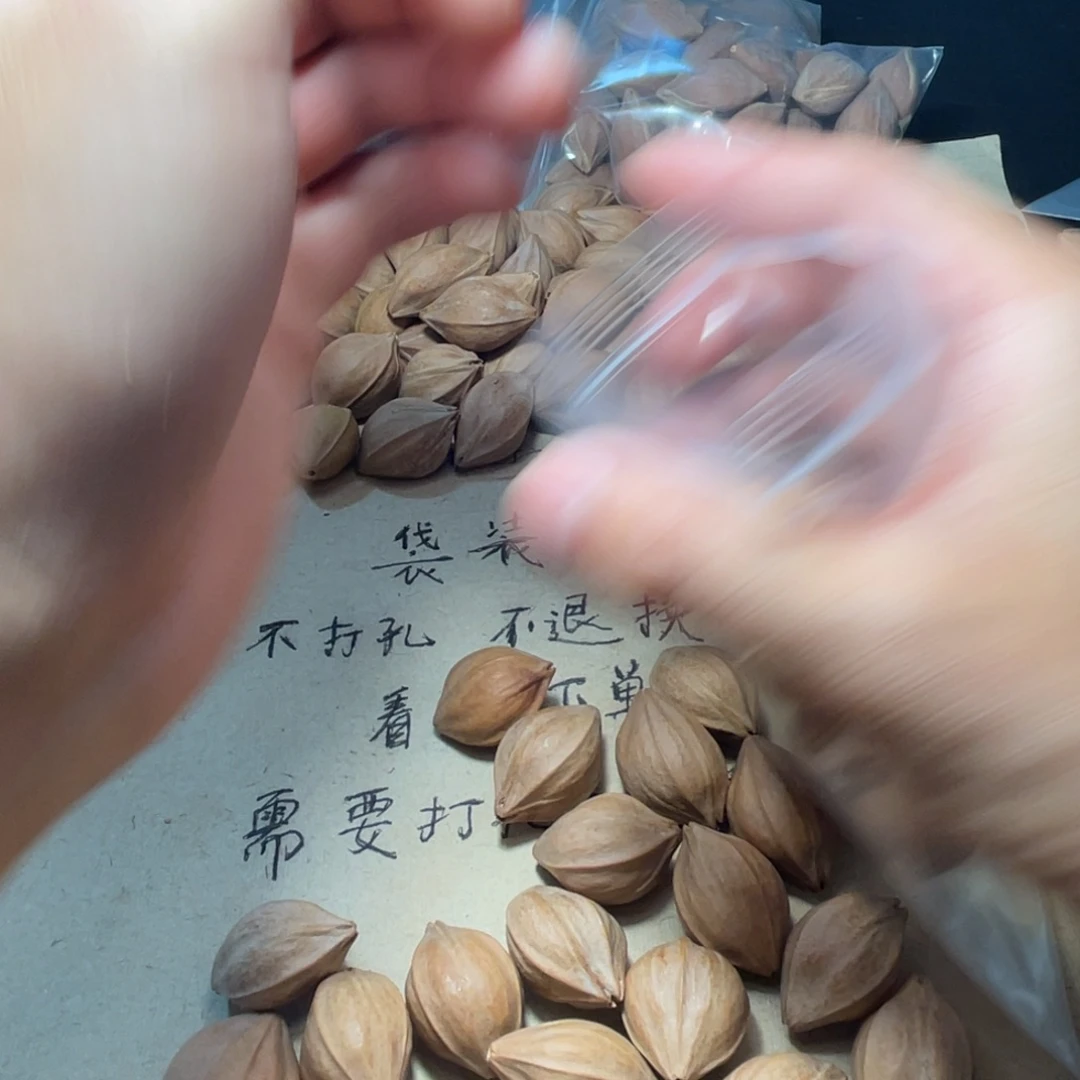 月*不退不换aaaaaa