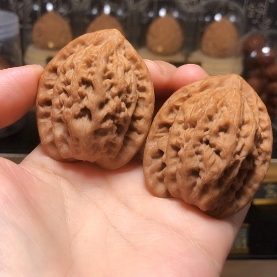 原生态：精品金公子