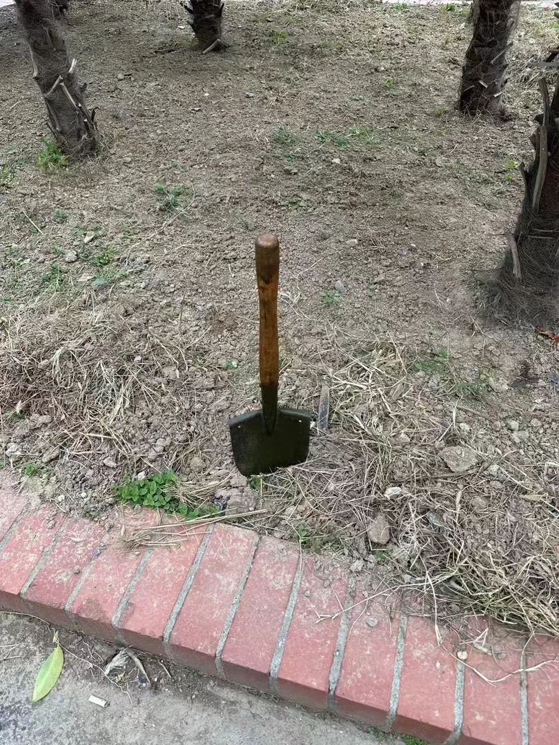 老式铲经典收藏户外铁锹，锰钢露营工具，旧的使用过！！！