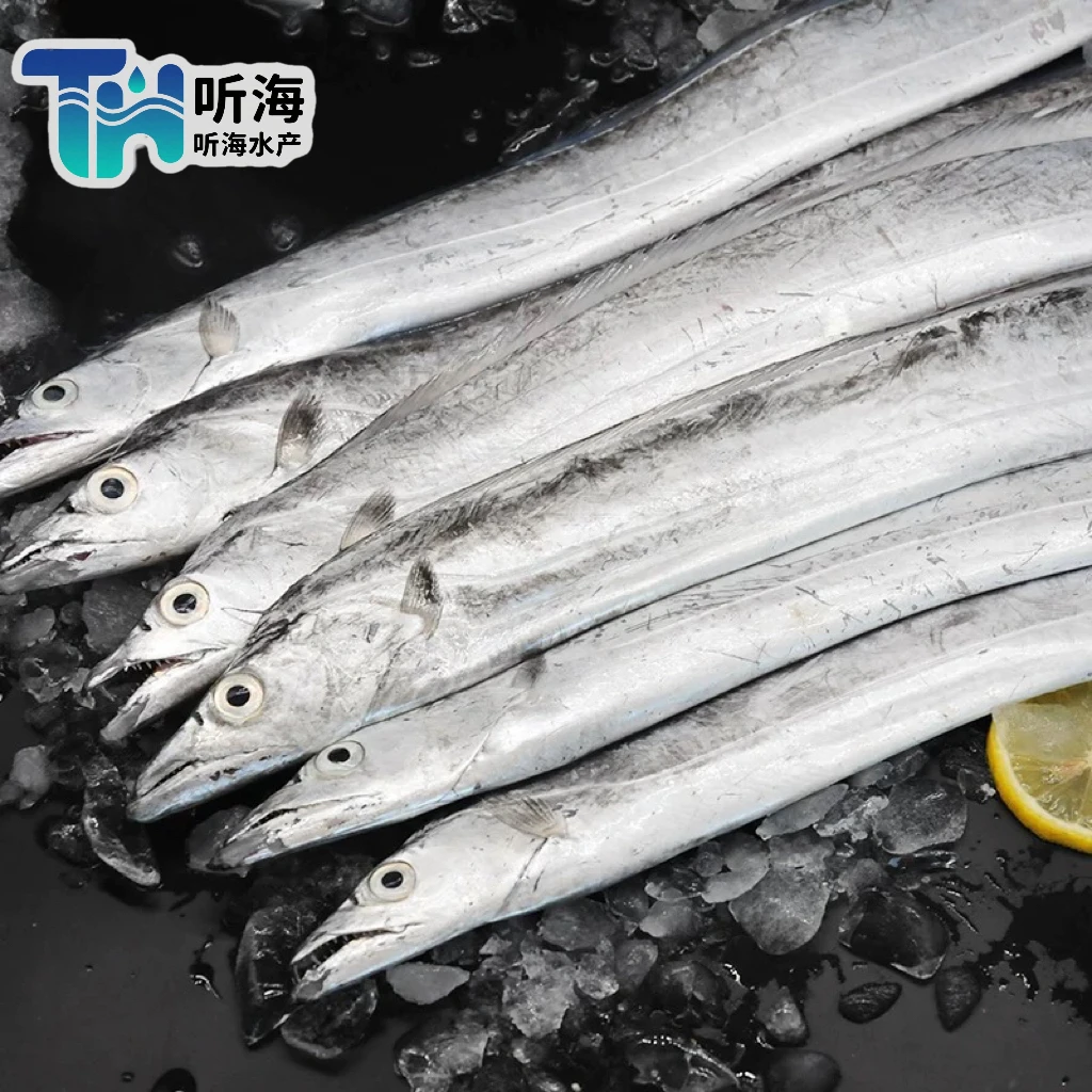 连云港海钓新鲜小眼睛带鱼肉质鲜嫩船冻锁鲜6条