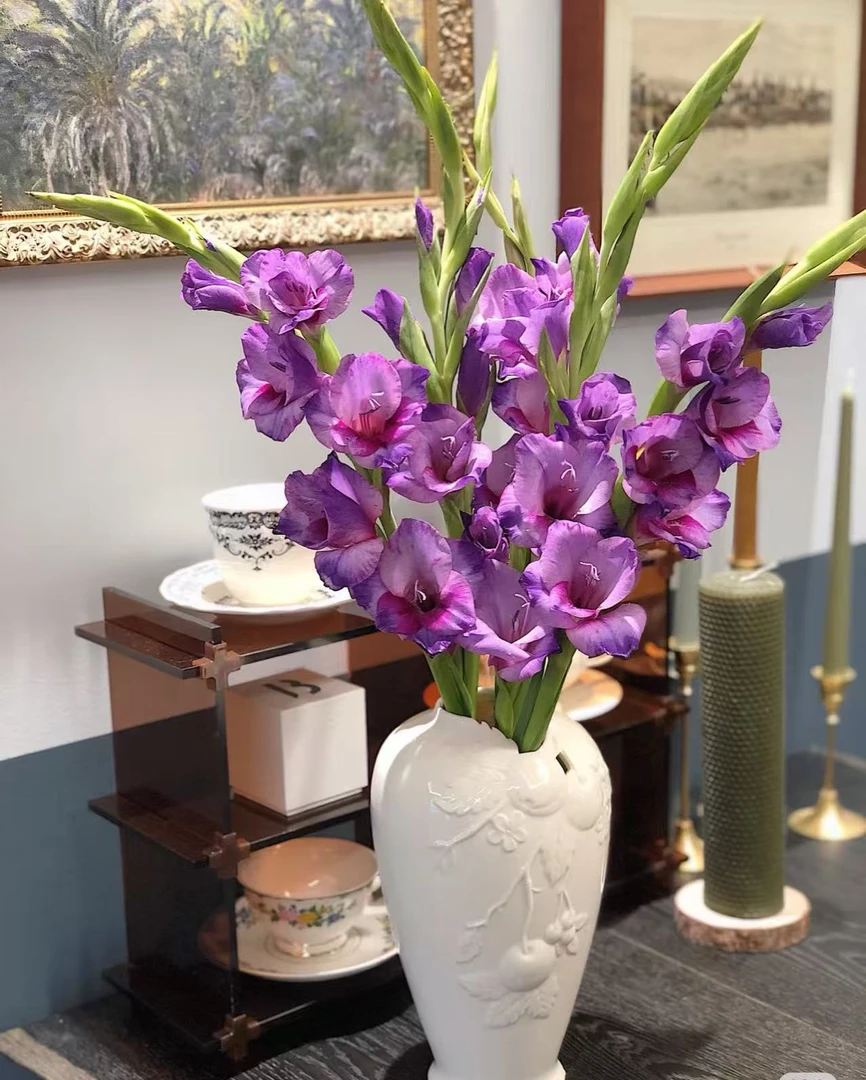 稀有【紫花苜蓿剑兰】云南鲜花 顺丰包邮