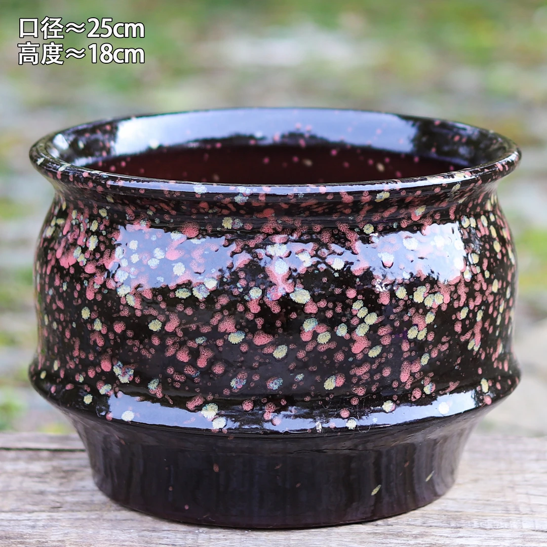 大口径多肉蝴蝶兰拼盘陶瓷大花盆老桩盆景绿植鲜花盆栽透气粗陶盆