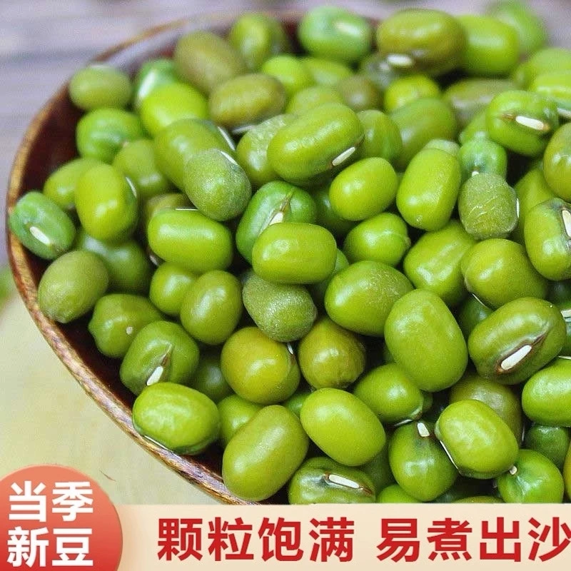 云南绿豆新鲜绿豆易烂出沙适合熬绿豆汤绿豆沙新货农家自种