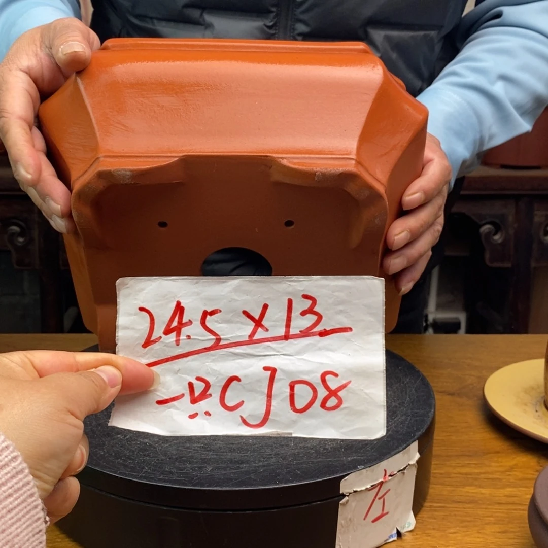 红陶货号一只CJ08