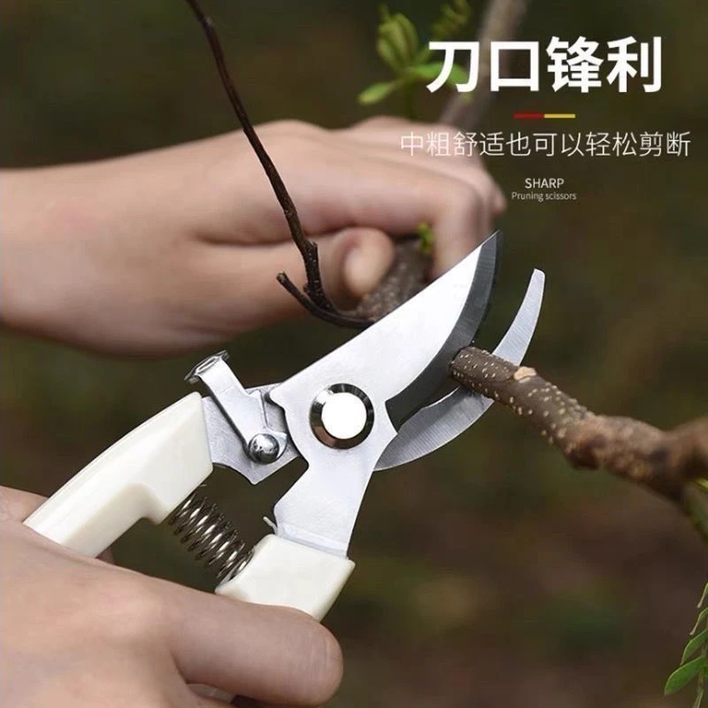 园艺园林果树剪刀修剪树枝盆栽神器家用绿化剪刀枝修剪刀专用工具