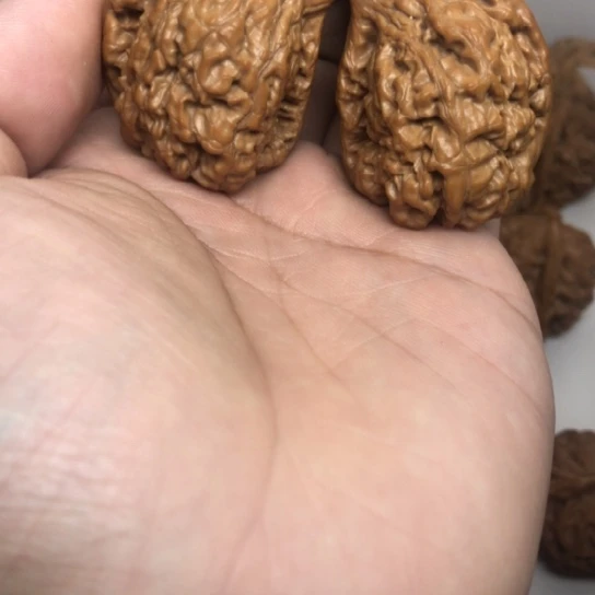 34鹰嘴半壁官帽核桃