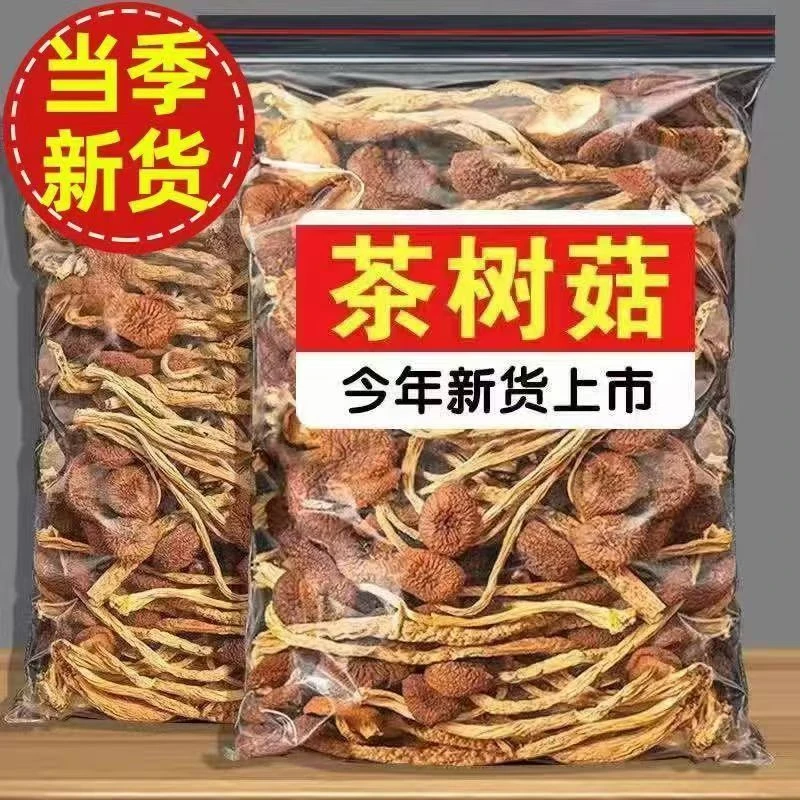 古田茶树菇批发农家不开伞新鲜干货菌菇茶树菇新鲜煲汤调鲜材料