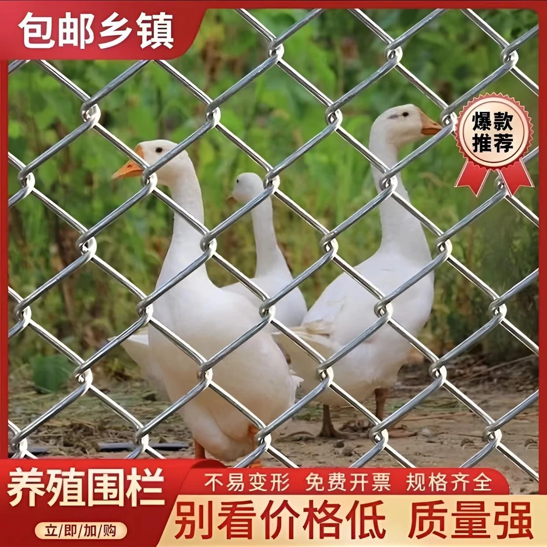 养鸡鸭围栏铁丝网 勾花网 果园鱼塘防护网 圈地铁丝网