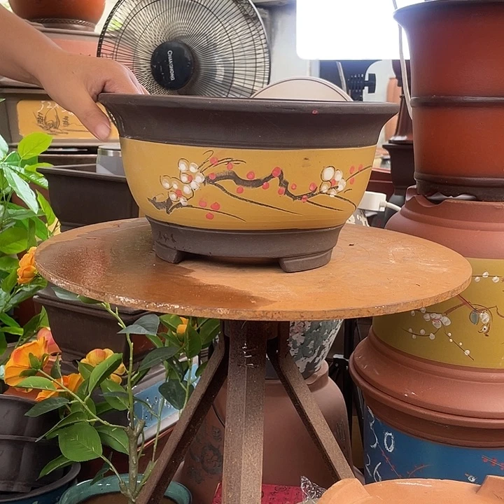 黄富贵点菜大花盆紫砂花盆