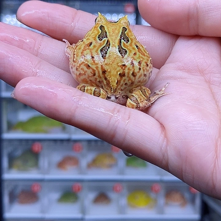 特价秒杀现货特价