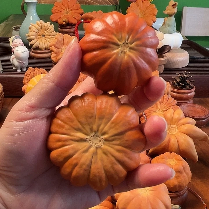 胡***想墨西哥葫芦手把太阳花